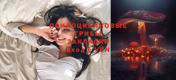 прущая мука Переславль-Залесский